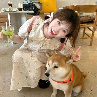 圣殇
